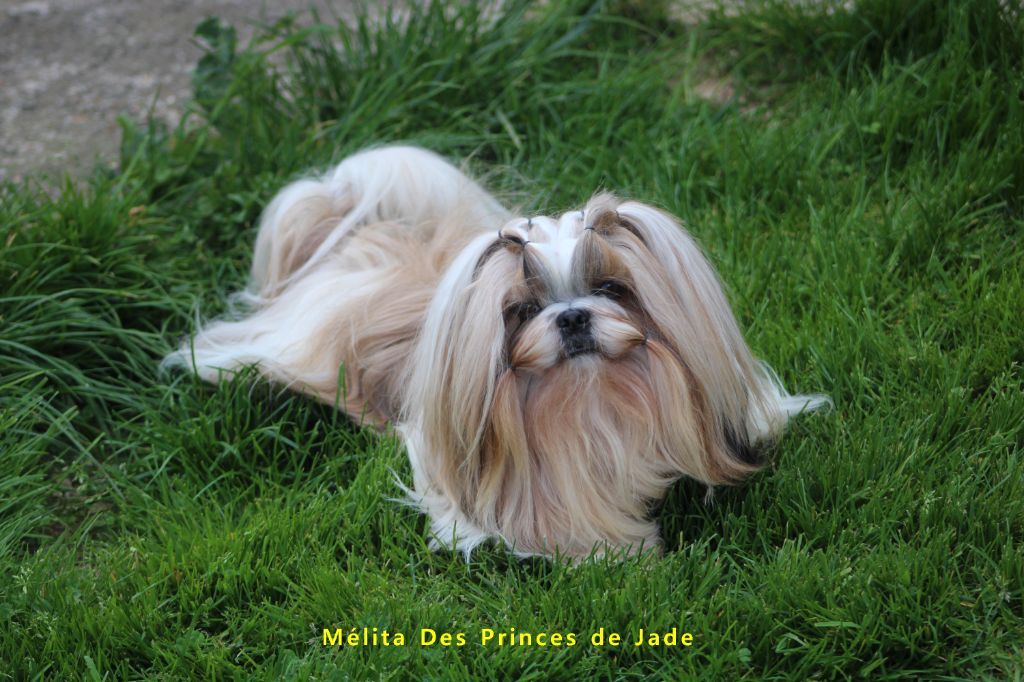 Mélita Des Princes De Jade