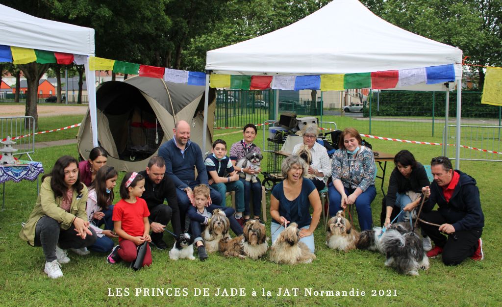 Des Princes De Jade - JAT Normandie