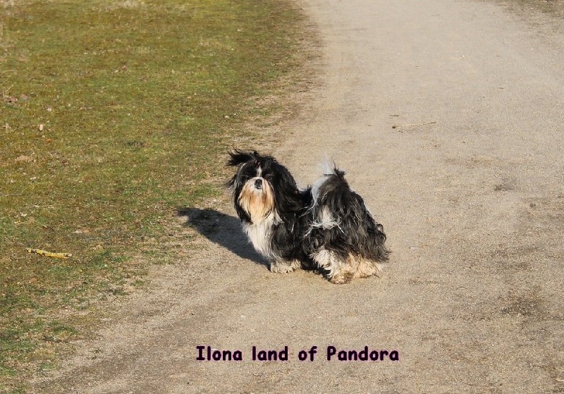 Ilona dite isée-miss Land Of Pandora